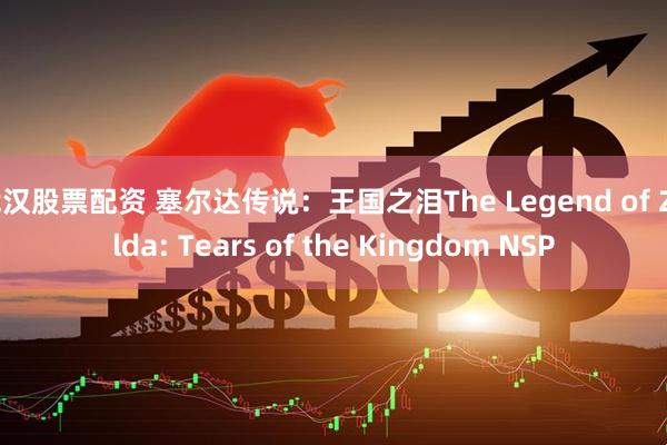 武汉股票配资 塞尔达传说：王国之泪The Legend of Zelda: Tears of the Kingdom NSP